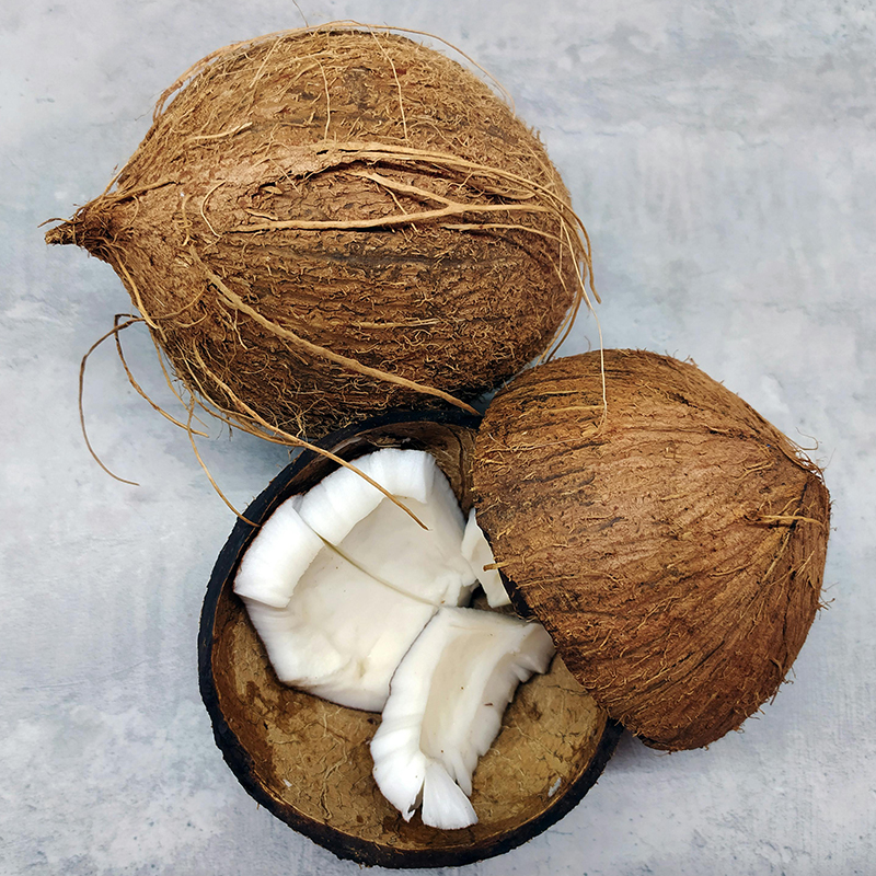 Coconut - Image 2